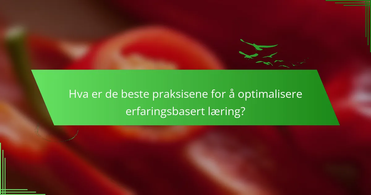 Hva er de beste praksisene for å optimalisere erfaringsbasert læring?