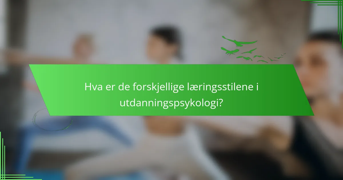 Hva er de forskjellige læringsstilene i utdanningspsykologi?