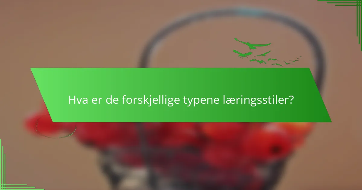 Hva er de forskjellige typene læringsstiler?