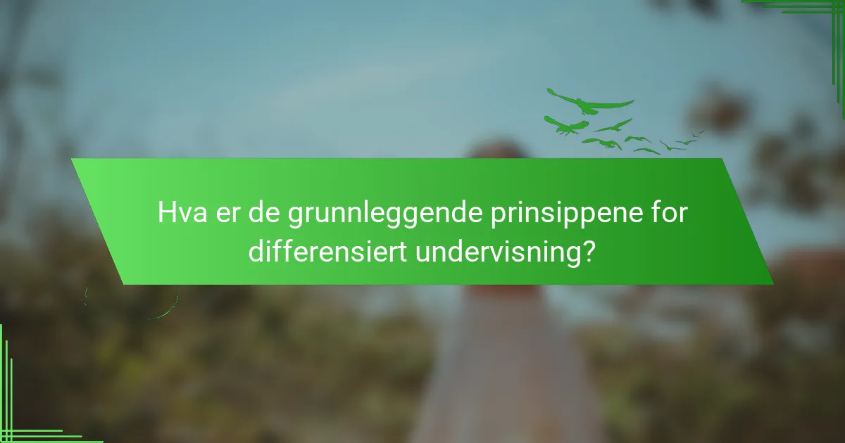 Hva er de grunnleggende prinsippene for differensiert undervisning?