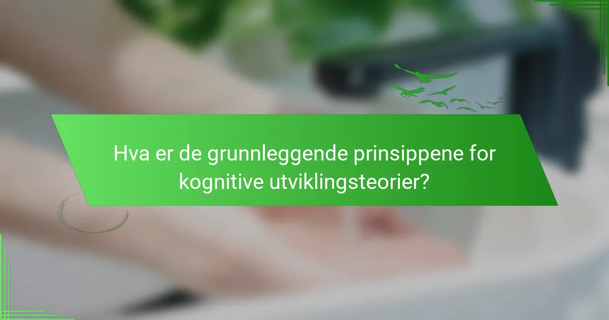 Hva er de grunnleggende prinsippene for kognitive utviklingsteorier?
