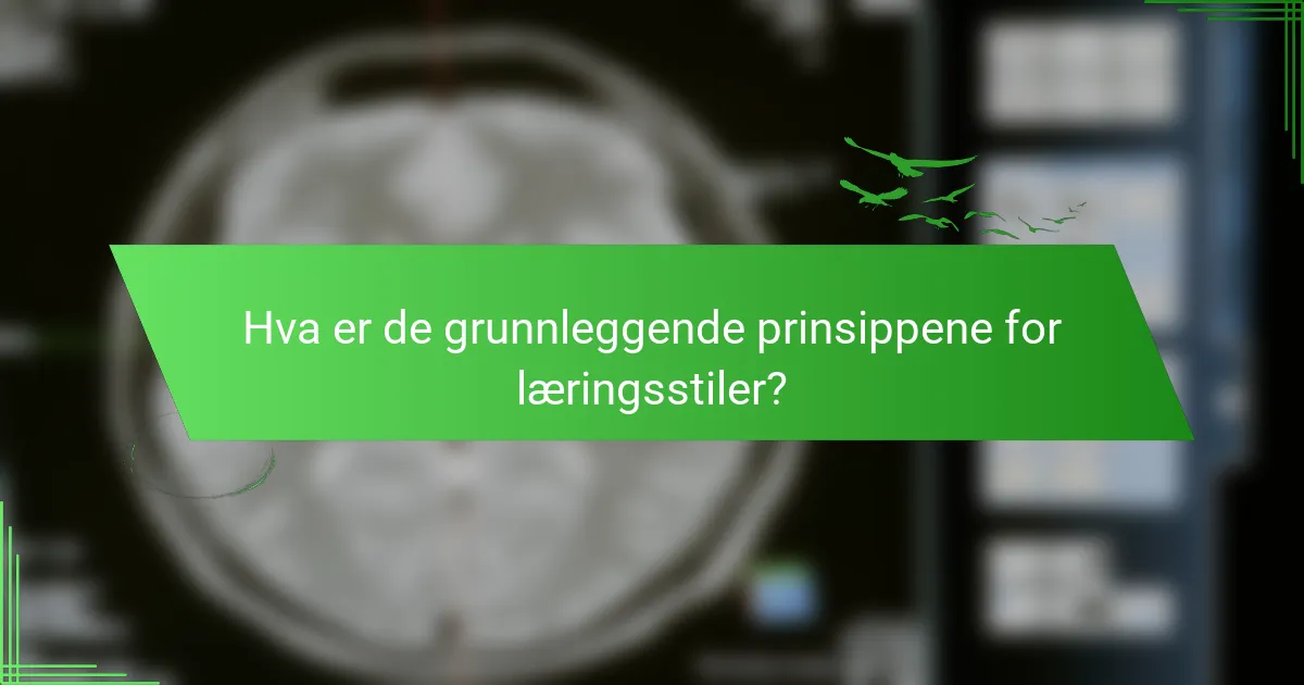 Hva er de grunnleggende prinsippene for læringsstiler?