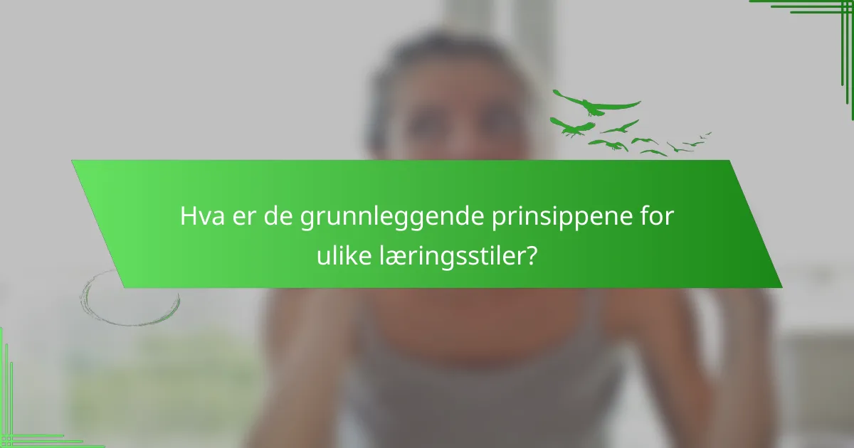 Hva er de grunnleggende prinsippene for ulike læringsstiler?