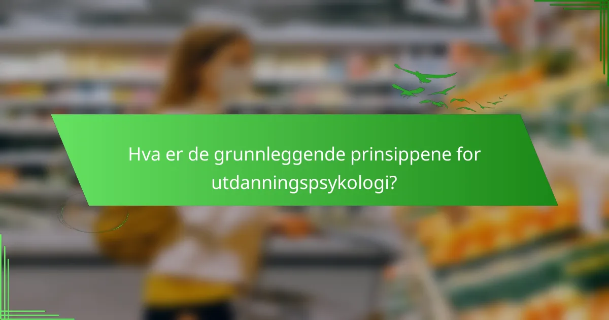 Hva er de grunnleggende prinsippene for utdanningspsykologi?