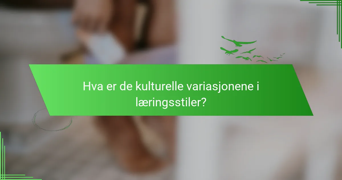 Hva er de kulturelle variasjonene i læringsstiler?
