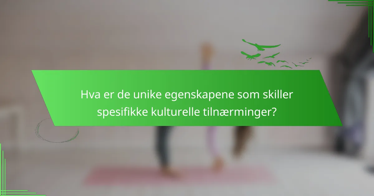 Hva er de unike egenskapene som skiller spesifikke kulturelle tilnærminger?