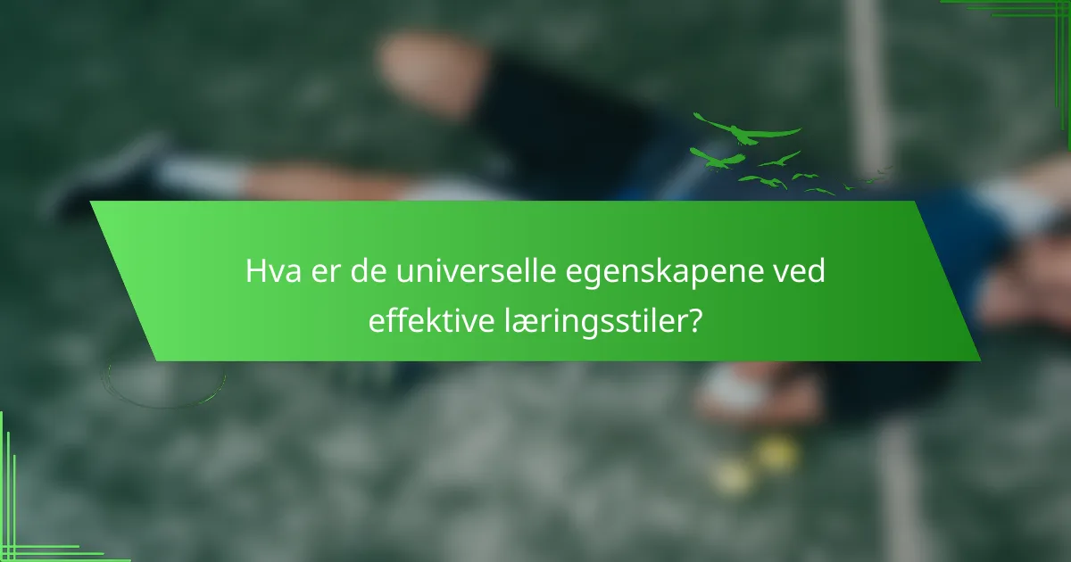 Hva er de universelle egenskapene ved effektive læringsstiler?