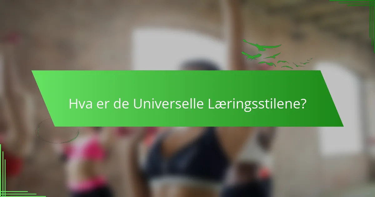 Hva er de Universelle Læringsstilene?