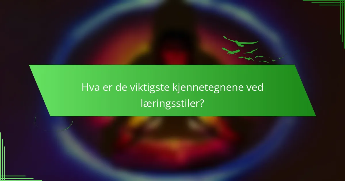 Hva er de viktigste kjennetegnene ved læringsstiler?