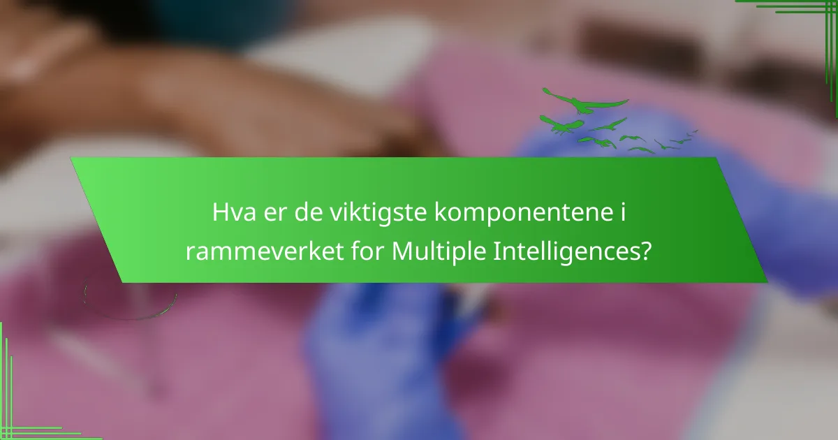 Hva er de viktigste komponentene i rammeverket for Multiple Intelligences?