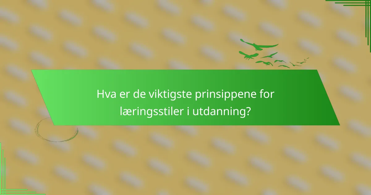 Hva er de viktigste prinsippene for læringsstiler i utdanning?