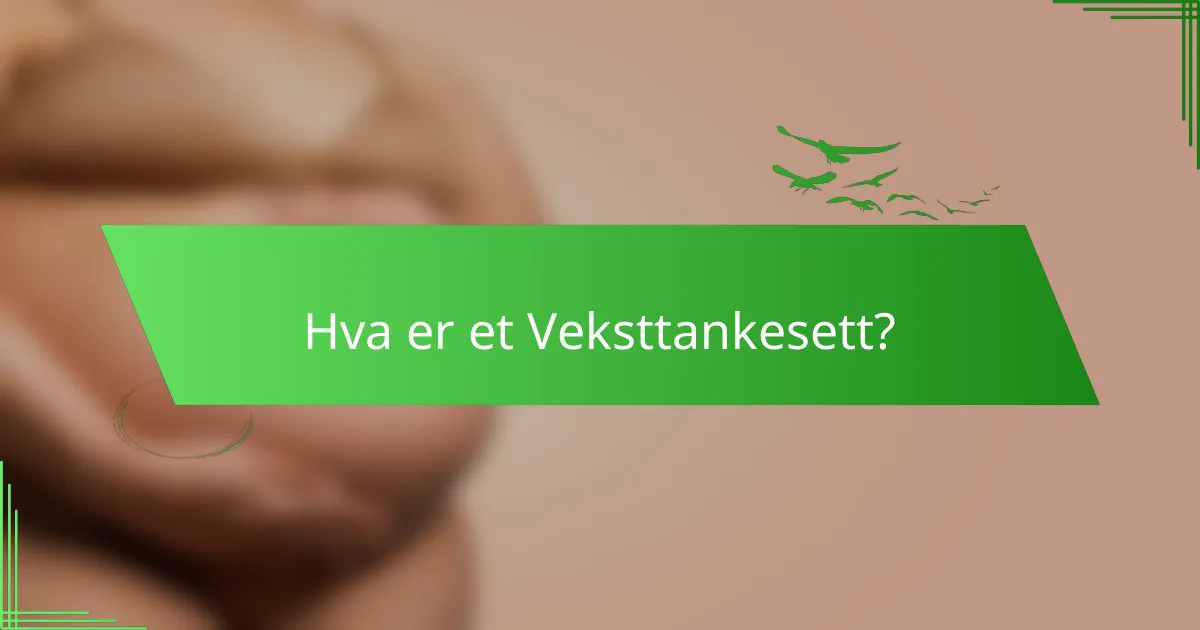 Hva er et Veksttankesett?