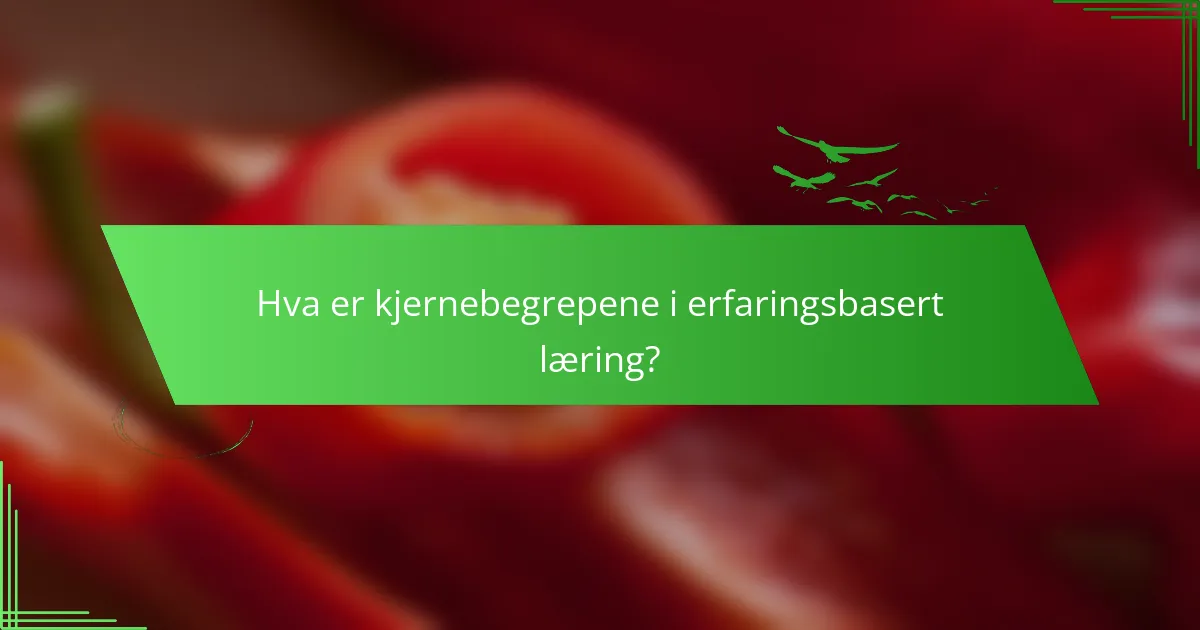 Hva er kjernebegrepene i erfaringsbasert læring?