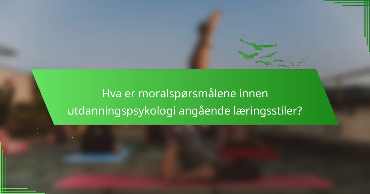 Hva er moralspørsmålene innen utdanningspsykologi angående læringsstiler?