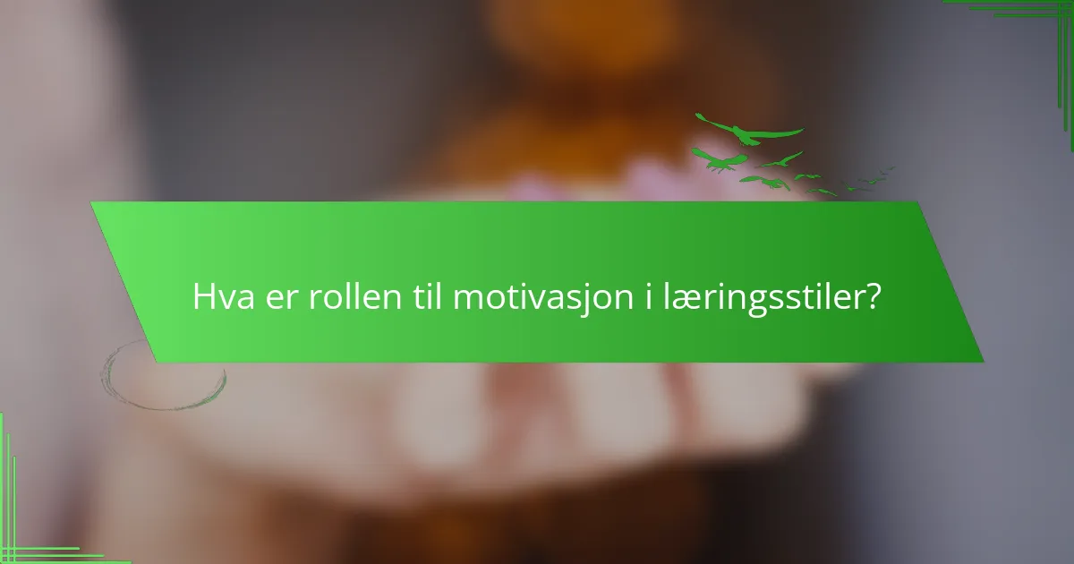 Hva er rollen til motivasjon i læringsstiler?