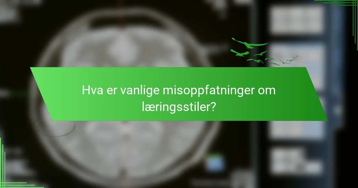 Hva er vanlige misoppfatninger om læringsstiler?